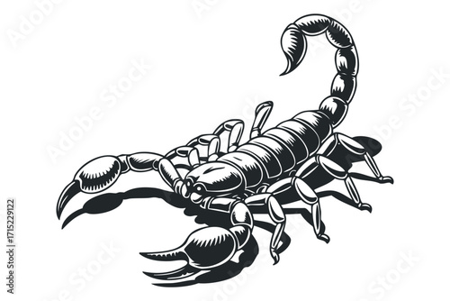 Scorpion graphic icon on transparent background. Vector hand drawn