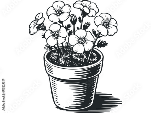 Potted flowering plant with delicate petals and leaves. Vector hand drawn
