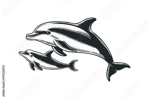 Two dolphins swimming on transparent background. Vector hand drawn