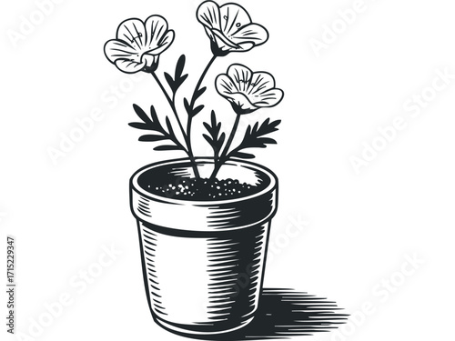 Three delicate flowers in a pot with soil and shadow. Vector hand drawn