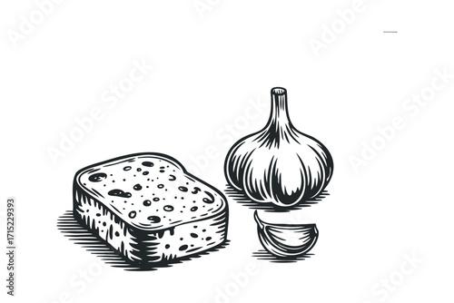 Slice of bread and garlic bulb. Vector hand drawn