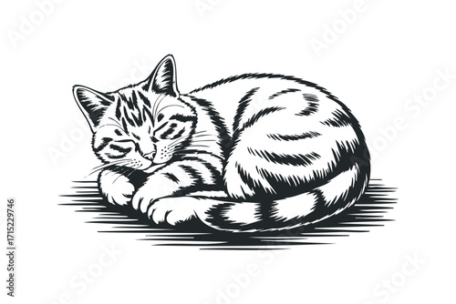 Sleeping tabby cat with stripes on transparent background. Vector hand drawn