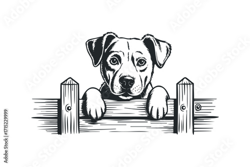 Dog peeking over wooden fence. Vector hand drawn