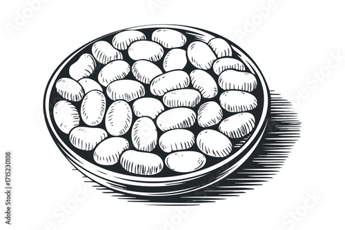 Hand drawn sketch of white beans in a circular bowl. Vector hand drawn