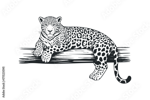 Jaguar resting on a tree branch, simple line drawing, format. Vector hand drawn