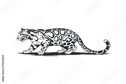 Clouded Leopard Walking Side Profile. Vector hand drawn