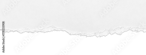 Torn white paper border with drop shadow isolated on background
