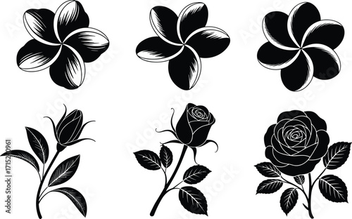 Collection of various black silhouette flower vectors with detailed outlines for nature, floral, and botanical designs
