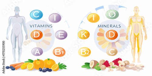 Human body diagram illustrating essential vitamins and minerals with associated food sources for healthy nutrition