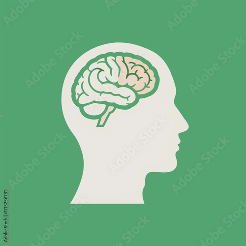 Vector illustration of a human head in profile with a detailed brain, symbolizing cognitive functions, intelligence, and complex thought processes within the mind