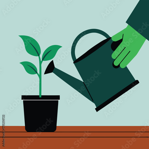 Hand Watering a Small Plant in a Pot watering can seedling