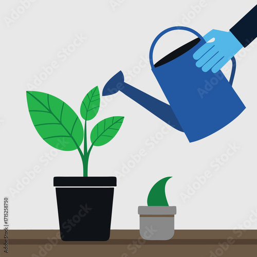 Hand watering plants in pots with a watering can growth