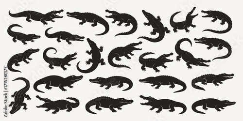 black and white crocodile silhouettes