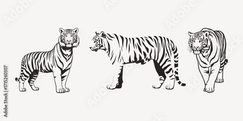 Tiger cartoon isolated on white
