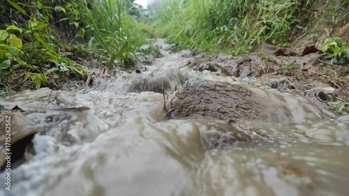 Rain-soaked Path in Lush Terrain: Capturing the after effects of a rainfall. A muddy path, carved through the earth, is filled with rushing water