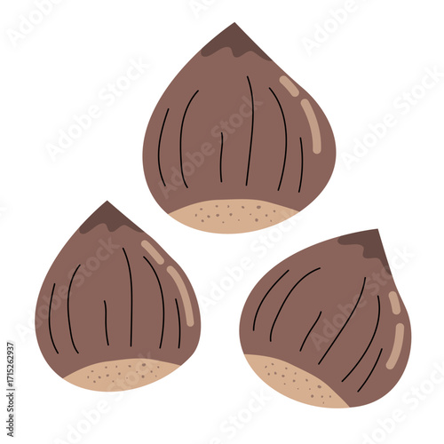 Flat cartoon illustration showing a group of chestnuts isolated on white background. Design elements for autumn, seasonal food, natural harvest and healthy snack designs