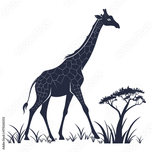 Silhouette of a giraffe walking through the african savanna with an acacia tree and tall grass, the giraffes coat is patterned with polygonal spots