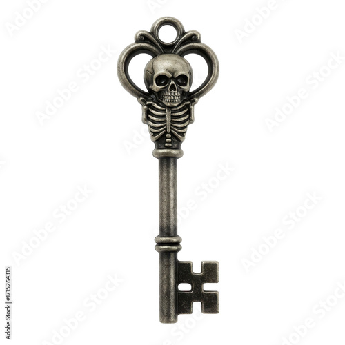 Skeleton key isolated  isolated PNG with Transparent Background