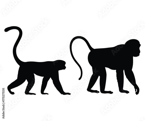 Monkey Silhouette Vector Set Wildlife & Jungle Primate Design