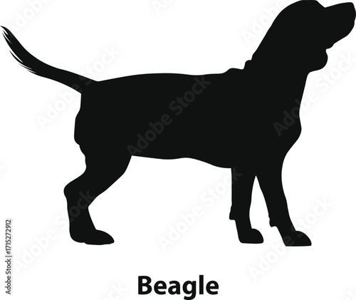 Beagle dog silhouette vector, active hound profile with raised tail, clean black outline, minimal flat style