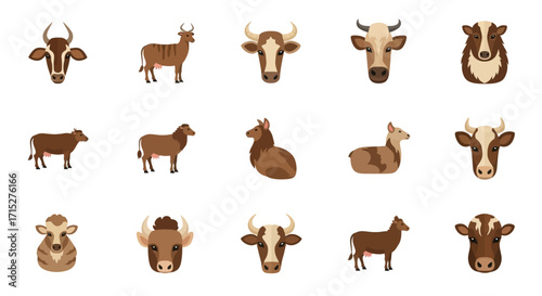 Collection of Diverse Farm Animal Illustrations and Portraits.