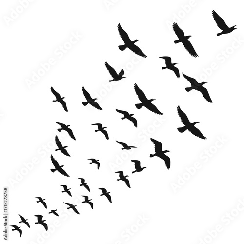 A flock of black silhouette birds flying in formation against a clean white background