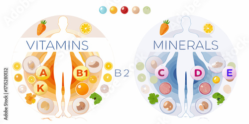 Illustration of human body silhouette showing essential vitamins and minerals for health and nutrition