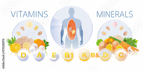 Illustration of vitamins and minerals essential for human health and body functions