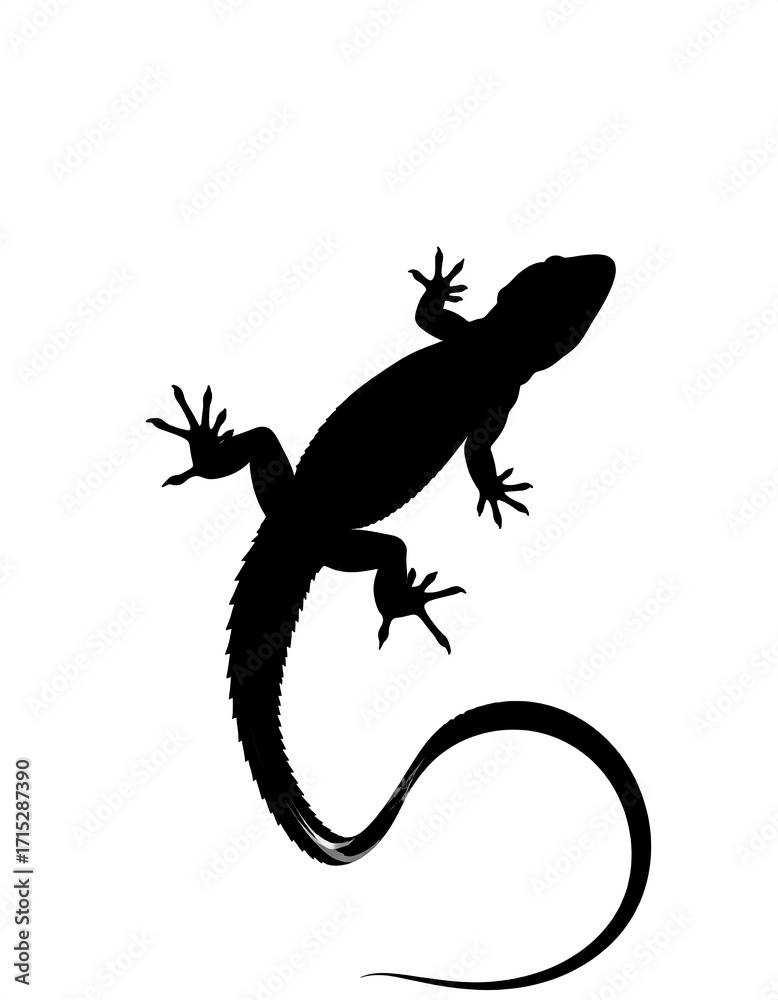 Fototapeta premium Silhouette of a lizard