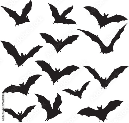 Flight of the Shadow: A mesmerizing composition of shadowy bats in flight, an artistic vision that conjures the mysteries of the night and the enigmatic nature of these winged creatures.