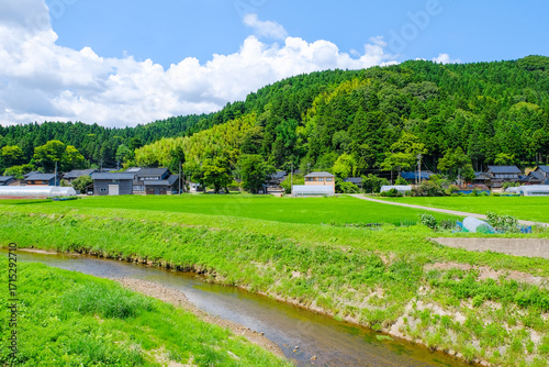 Bild auf Leinwand 日本の田舎　夏