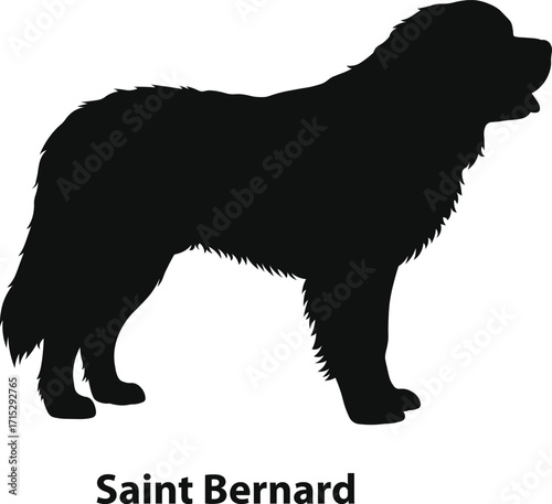 Saint bernard rescue dog silhouette in gentle giant profile for alpine themes and team apparel