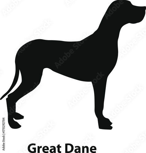 Great dane dog giant breed silhouette in elegant standing profile for branding and apparel
