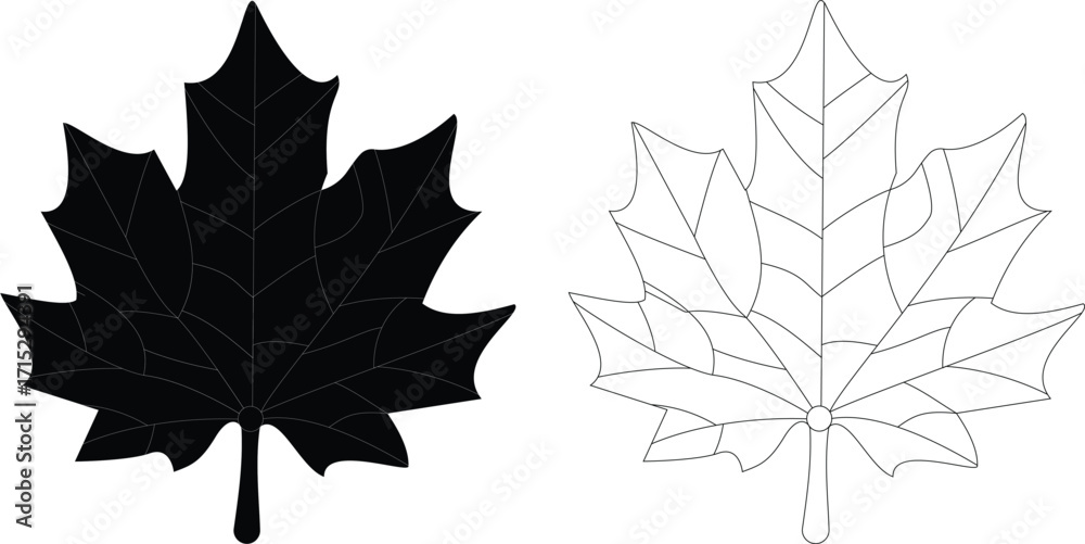 Fototapeta premium Black and White Maple Leaf Silhouettes Side by Side