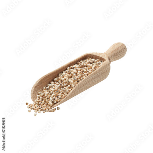 Organic White Sorghum Grains in Wooden Scoop