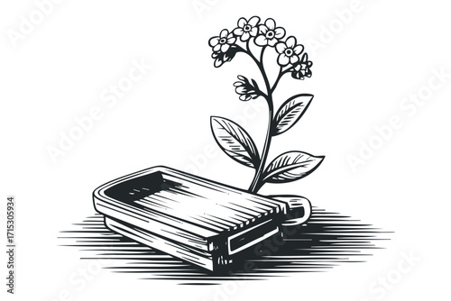 Forget me not flower growing from a rectangular container on transparent. Vector hand drawn