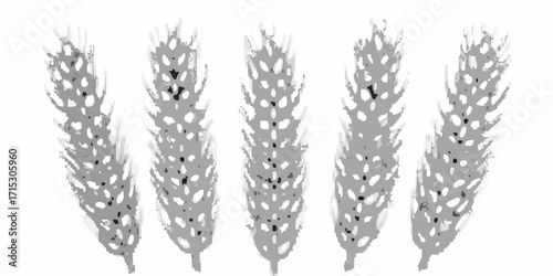 Five stalks of wheat are arranged in a row against a white background in a grayscale image style | editable eps vectors silhouette