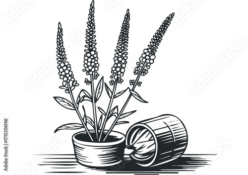 Detailed line art of flowering plants in a pot on transparent background. Vector hand drawn