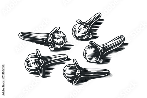 Group of Dried Cloves Spice Transparent Background. Vector hand drawn