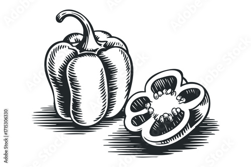 Paprika halved showing seed interior isolated on transparent. Vector hand drawn