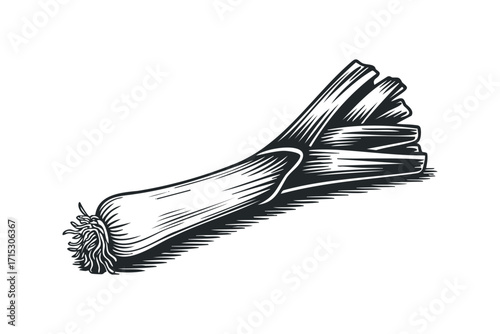 Leek vegetable cut out. Vector hand drawn