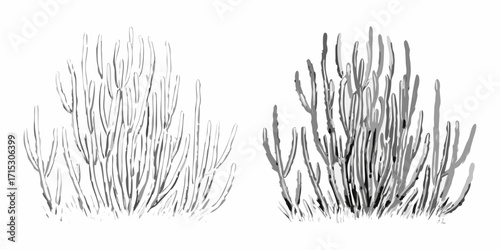 Two groups of pencil sketch style plants with thin stems and minimal foliage in grayscale tones shown | editable eps vectors silhouette