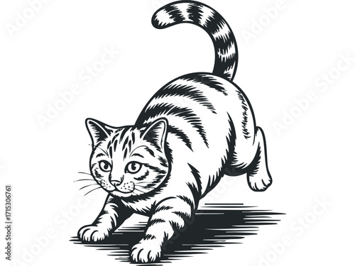 Playful tabby cat in hunting pose. Vector hand drawn