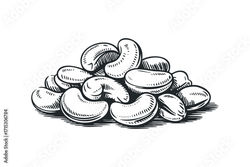 Pile of Cashew Nuts Transparent Background. Vector hand drawn