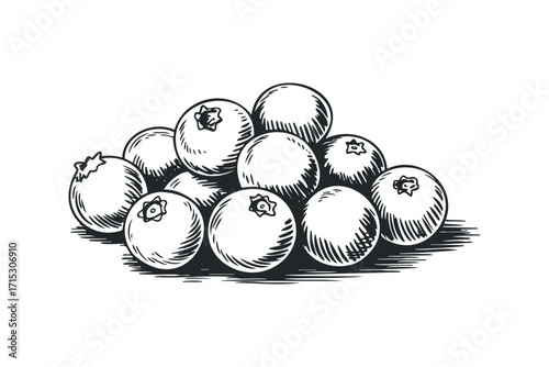 Pile of fresh blueberries isolated on transparent background. Vector hand drawn