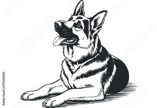 German Shepherd Dog Lying Down With Tongue Out. Vector hand drawn