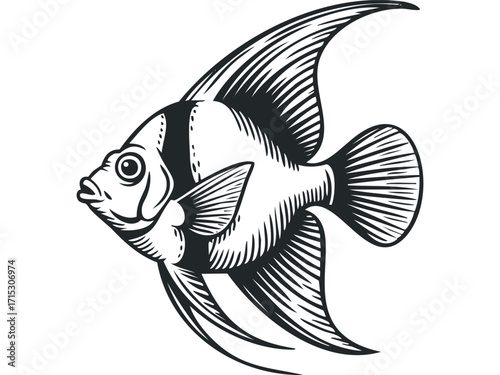 Angelfish Transparent Background Aquatic Life. Vector hand drawn