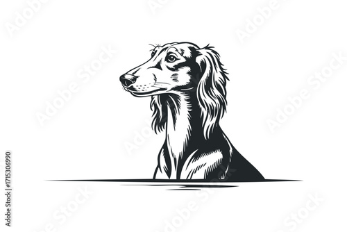 Elegant Dog Head Line Art Transparent. Vector hand drawn