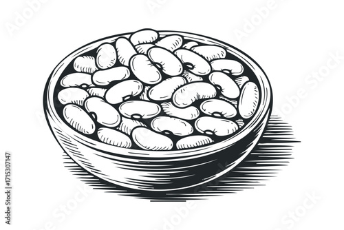 Bowl of white beans on transparent background. Vector hand drawn
