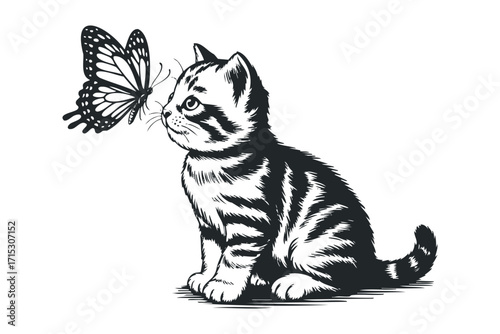 Kitten and butterfly interacting on a white background. Vector hand drawn
